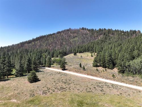 10.03 Acres In Elmore County, ID : Prairie : Elmore County : Idaho