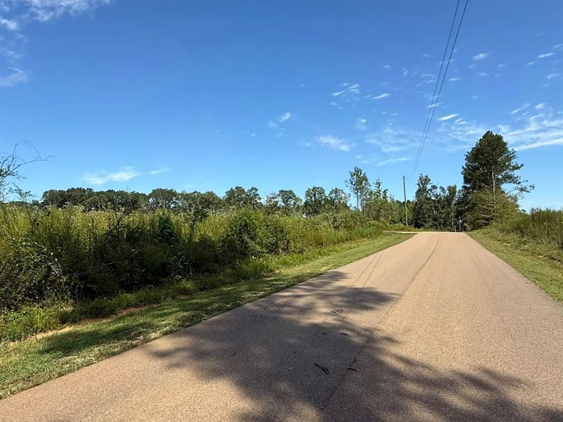 39.5 Acres in Scott County, MS : Forest : Scott County : Mississippi