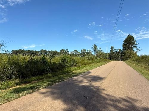 19.5 Acres In Scott County, MS : Forest : Scott County : Mississippi