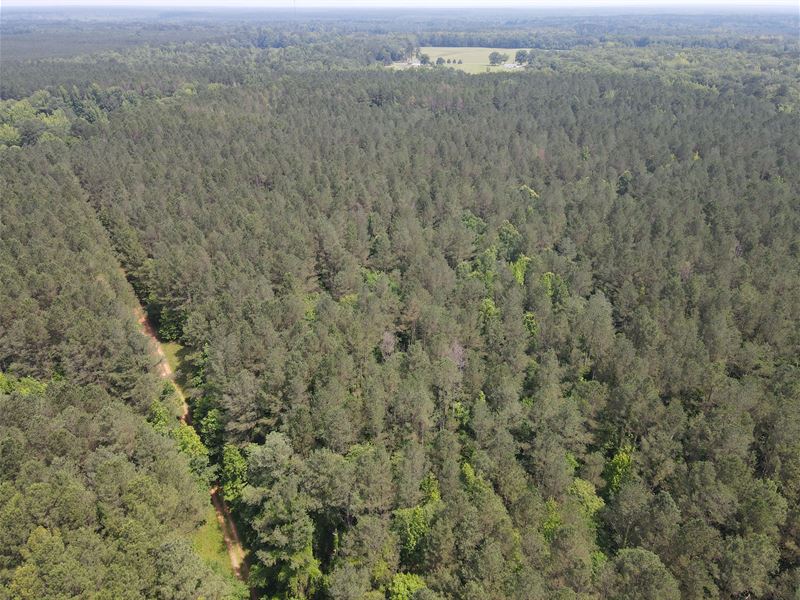 398 Acres in Noxubee County, MS : Macon : Noxubee County : Mississippi