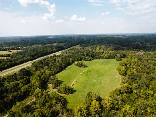 215 Acres In Sumter County, AL : Livingston : Sumter County : Alabama