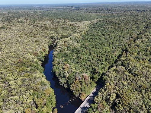 Brewington Lake Tract : Manning : Clarendon County : South Carolina