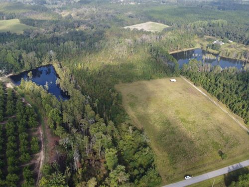 Beards Creek Farm : Glennville : Tattnall County : Georgia