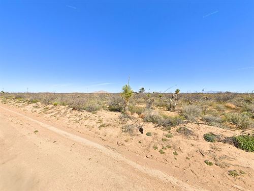 Two Lots for a Low Price : Deming : Luna County : New Mexico