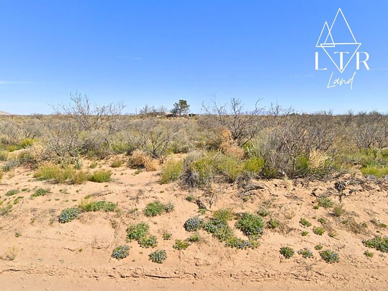 Two Lots for a Low Price : Deming : Luna County : New Mexico