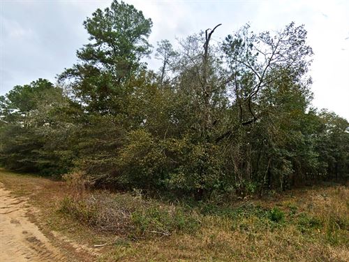 Budget-Friendly, Build-Ready : Interlachen : Putnam County : Florida