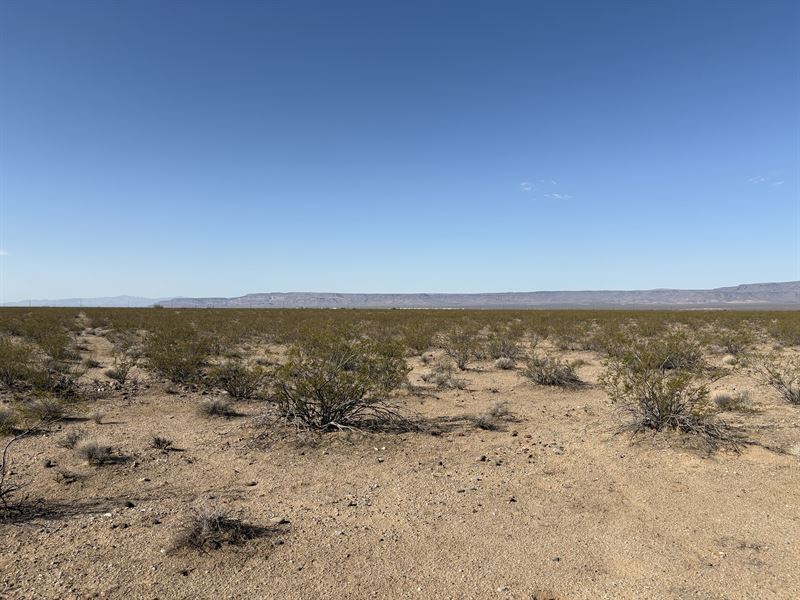 Peace & Quiet Minutes From Town : Golden Valley : Mohave County : Arizona