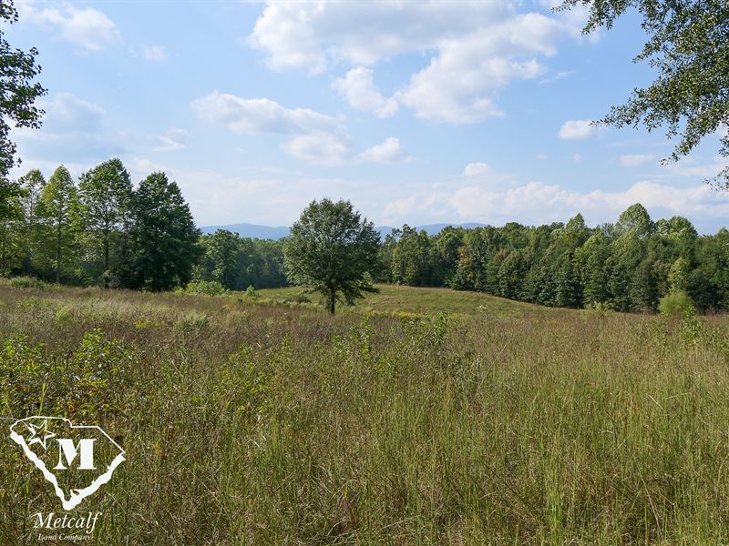 48 Stunning Acres in Campobello, SC : Campobello : Spartanburg County : South Carolina