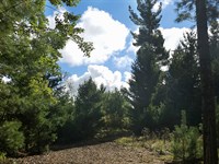 This is a Smart Investment : Solon Springs : Bayfield County : Wisconsin