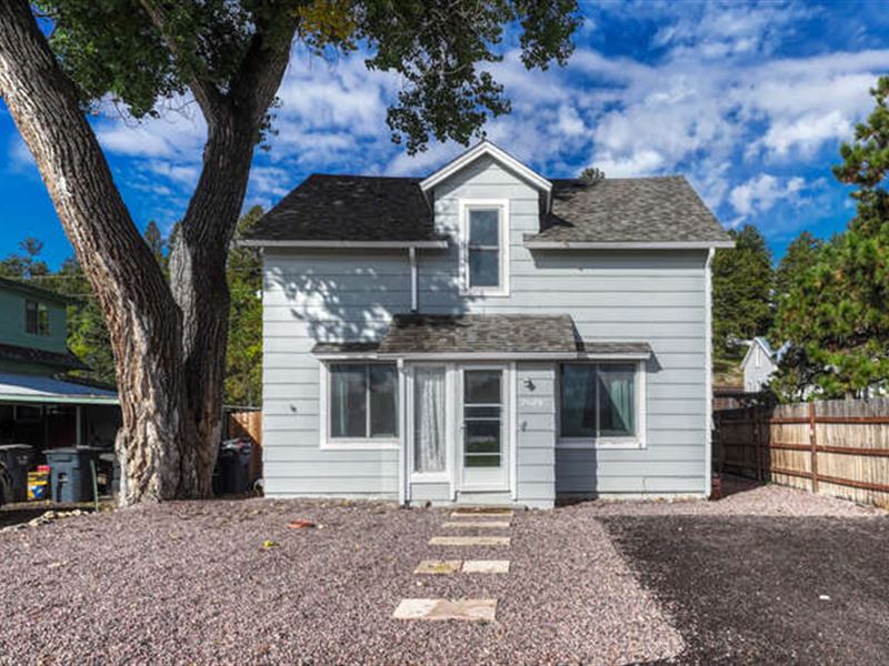 Cozy Elbert Home : Elbert : Elbert County : Colorado