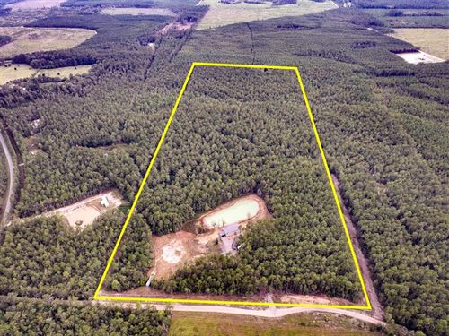 60 Acres, Jones Road : Kountze : Hardin County : Texas