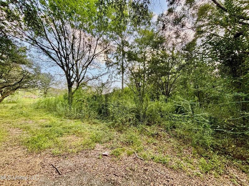 .79 Acres in The Heart Of Gloster : Gloster : Amite County : Mississippi