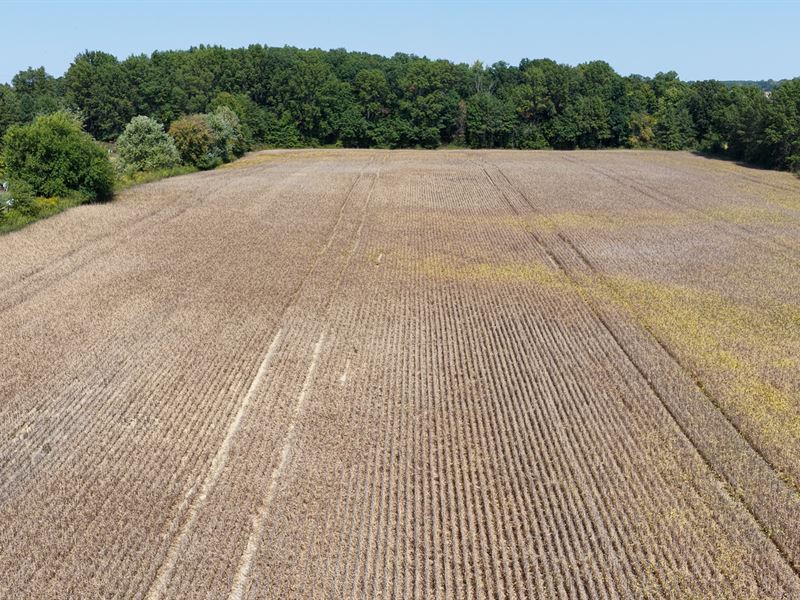 Land Auction, Grant Co Indiana : Marion : Grant County : Indiana