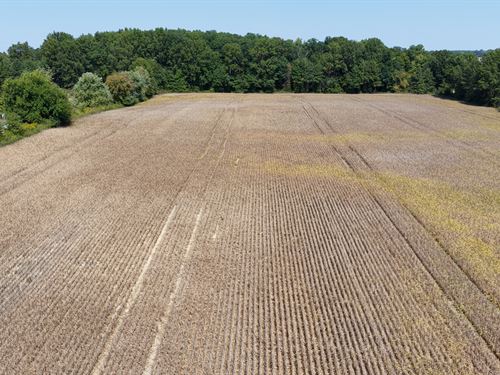 Land Auction, Grant Co. Indiana : Marion : Grant County : Indiana