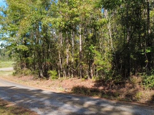 Hidden Pines : Liberty : Amite County : Mississippi