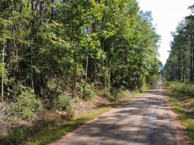 Hidden Pines : Liberty : Amite County : Mississippi