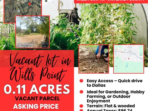 .11 Acre Wooded Lot : Wills Point : Van Zandt County : Texas