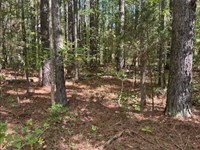 Forested Lot in Dekalb County TN : Smithville : DeKalb County : Tennessee