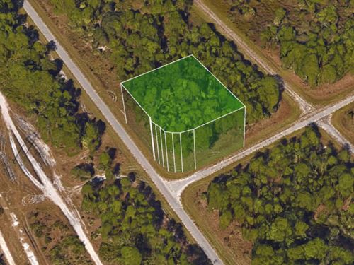 .32 Acre Lot North Port FL : North Port : Sarasota County : Florida