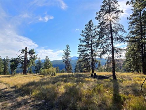 20 Acres in Okanogan County, WA : Wauconda : Okanogan County : Washington