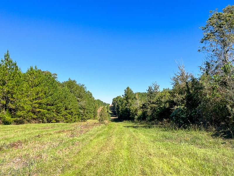 143 Acres, Private Road 507, T-3 : Center : Shelby County : Texas