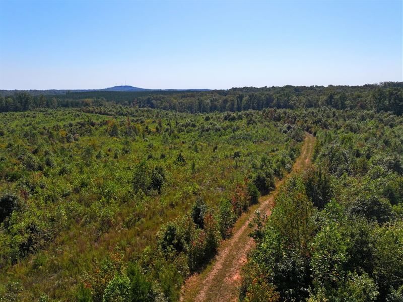 Farmville Acres 27.2 Acres : Farmville : Prince Edward County : Virginia