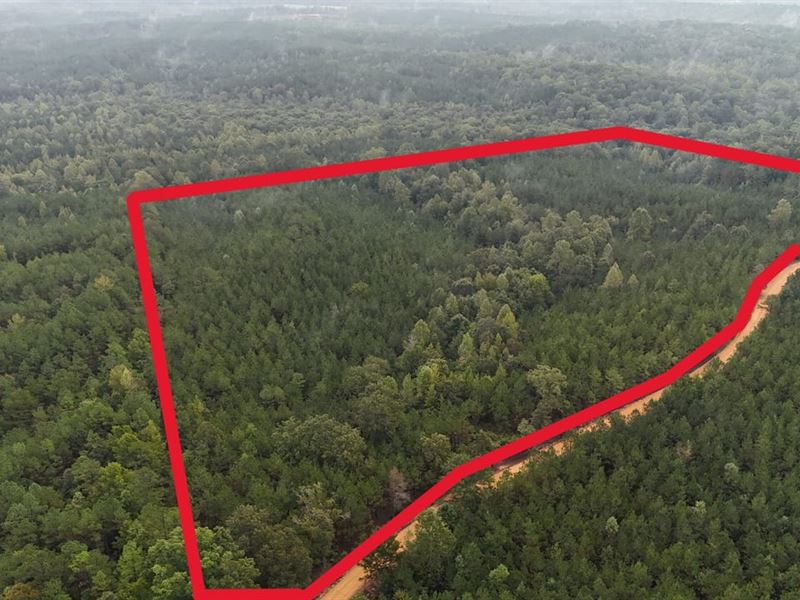 Scott Senter Road 30 Acres : Fulton : Itawamba County : Mississippi
