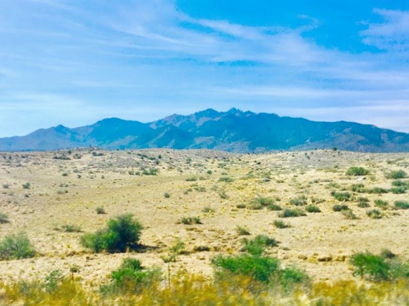 Crystal Clear Skies by The Campfire : Dolan Springs : Mohave County : Arizona