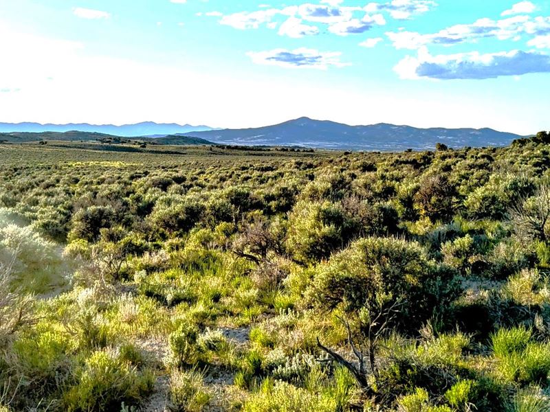 Unleash Your Skills 40 Nevada Acres : Montello : Elko County : Nevada