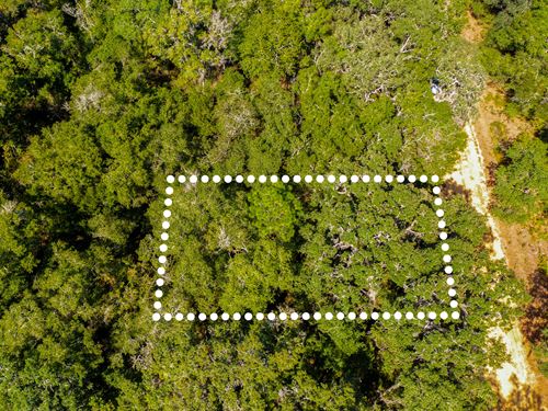 Wooded Hideaway in Interlachen : Interlachen : Putnam County : Florida