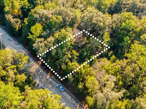 Shaded Lot in Interlachen : Interlachen : Putnam County : Florida