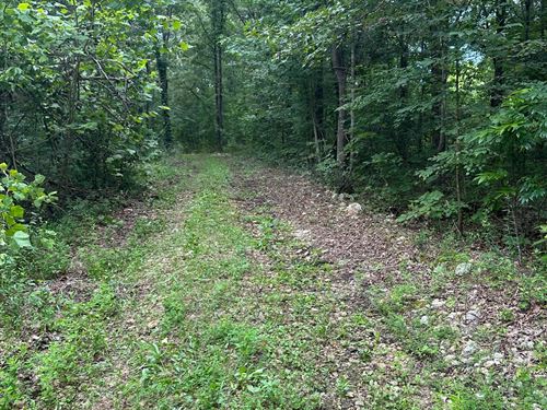 Bucksnort Hunting Paradise : Only : Hickman County : Tennessee