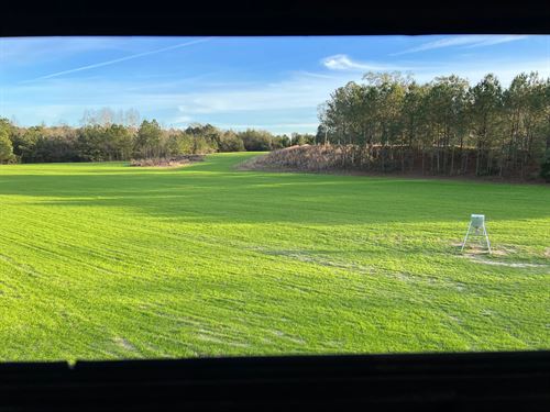 58 Acres In Wayne County, MS : State Line : Wayne County : Mississippi