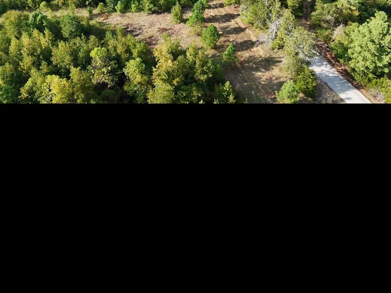 4 Acres in Lafayette County, MS : Oxford : Lafayette County : Mississippi