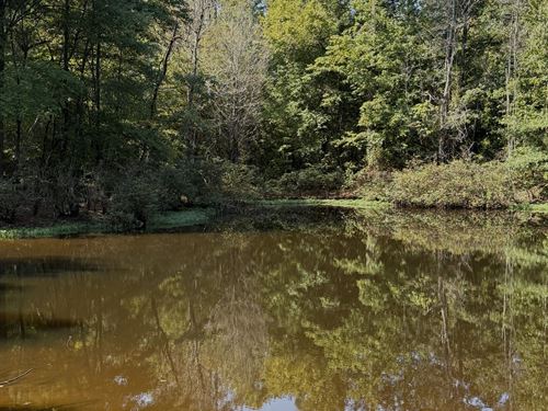 61.2 Acres in Choctaw County, MS : Mathiston : Choctaw County : Mississippi