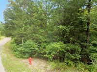 Treed Lot with Utilities : Cherokee Village : Sharp County : Arkansas