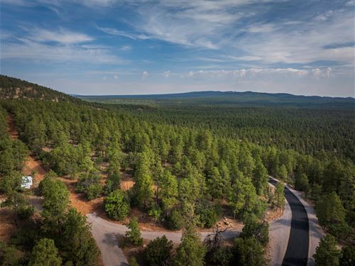 Forested Lot, Power & Paved Roads : Ramah : Cibola County : New Mexico