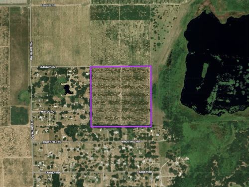40 Acres Residential Devel Polk Co : Haines City : Polk County : Florida