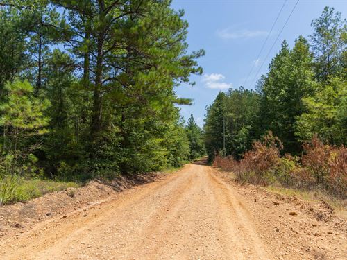 $999 Down Homestead Property : Beaverton : Lamar County : Alabama