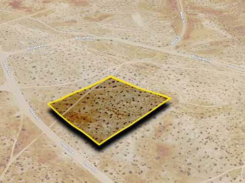 $502.27 Down Gets You CA Space : California City : Kern County : California