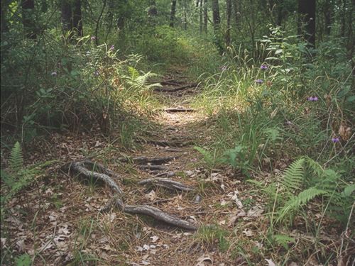 15 Acres Vacant Land, Creek County : Sapulpa : Creek County : Oklahoma