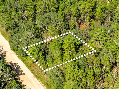 Peaceful Lot Near Lake Grandin : Interlachen : Putnam County : Florida