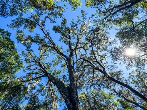 Private Retreat in Interlachen : Interlachen : Putnam County : Florida