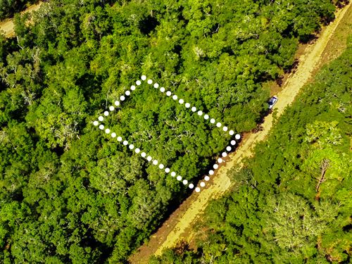 Private Retreat in Interlachen : Interlachen : Putnam County : Florida