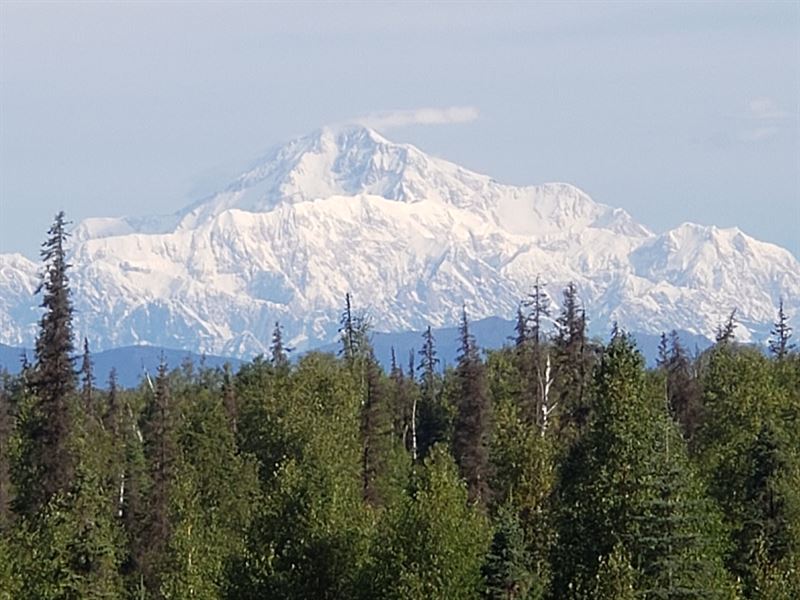 Denali Views and Moose Dreams : Trapper Creek : Matanuska-Susitna Borough : Alaska
