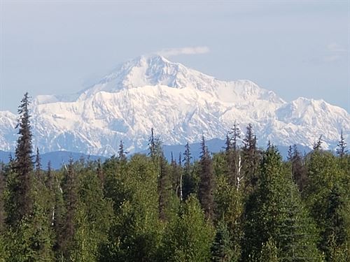 Denali Views And Moose Dreams : Trapper Creek : Matanuska-Susitna Borough : Alaska