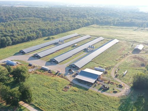 Jeffreys Broiler Farm : Town Creek : Lawrence County : Alabama