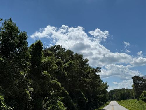 7 Acres Talladega County Commercial : Sycamore : Talladega County : Alabama