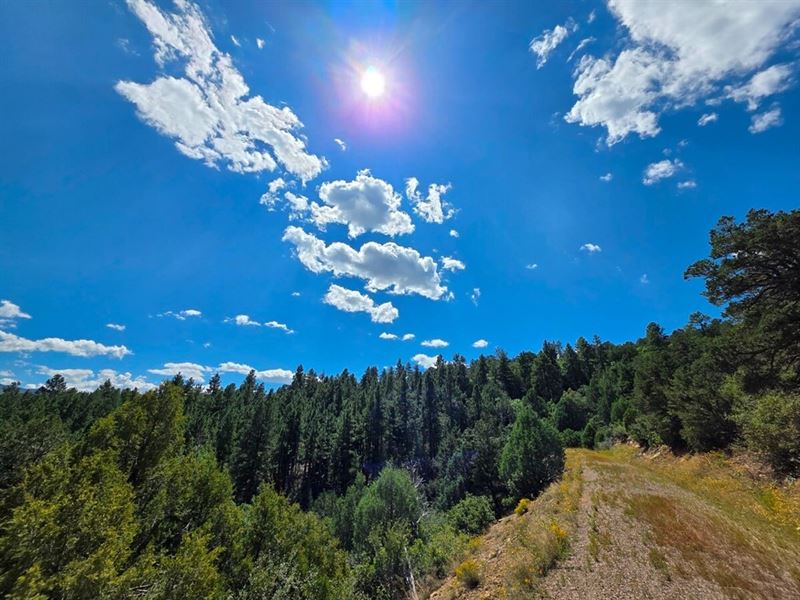6 Santa Fe Trail Ranch : Trinidad : Las Animas County : Colorado