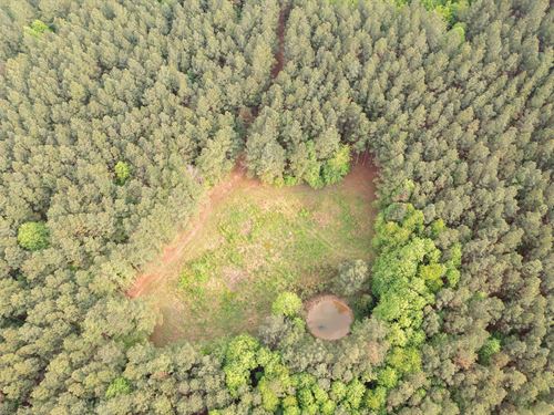 $999 Down with a Pond : Holladay : Benton County : Tennessee